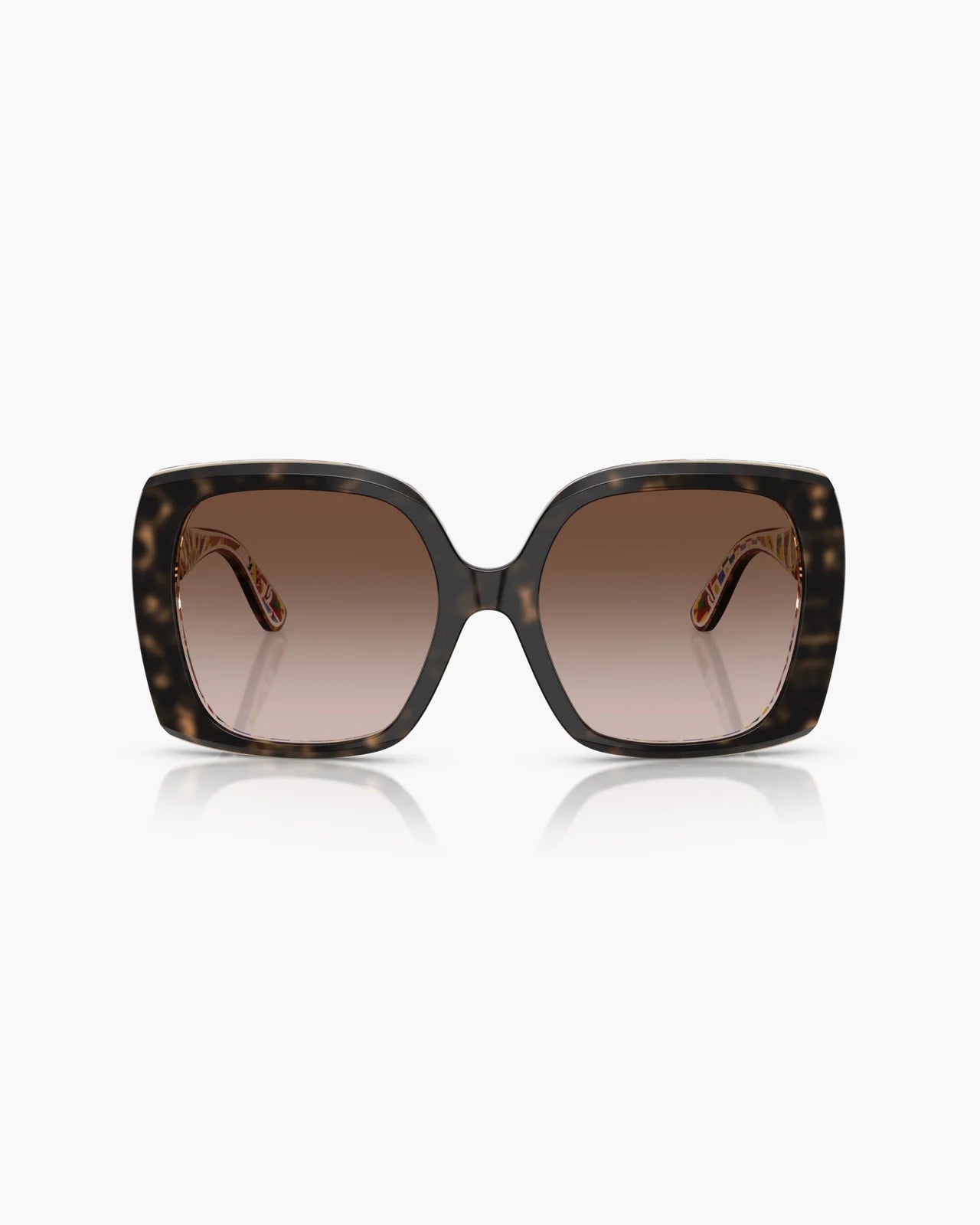DOLCE&GABBANA HAVANA WHITE/BARROW