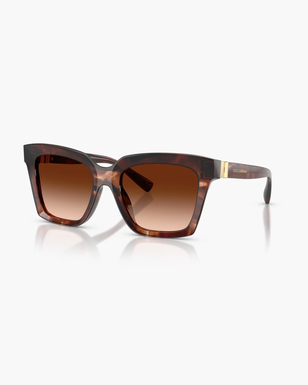 DOLCE&GABBANA HAVANA DARK RED