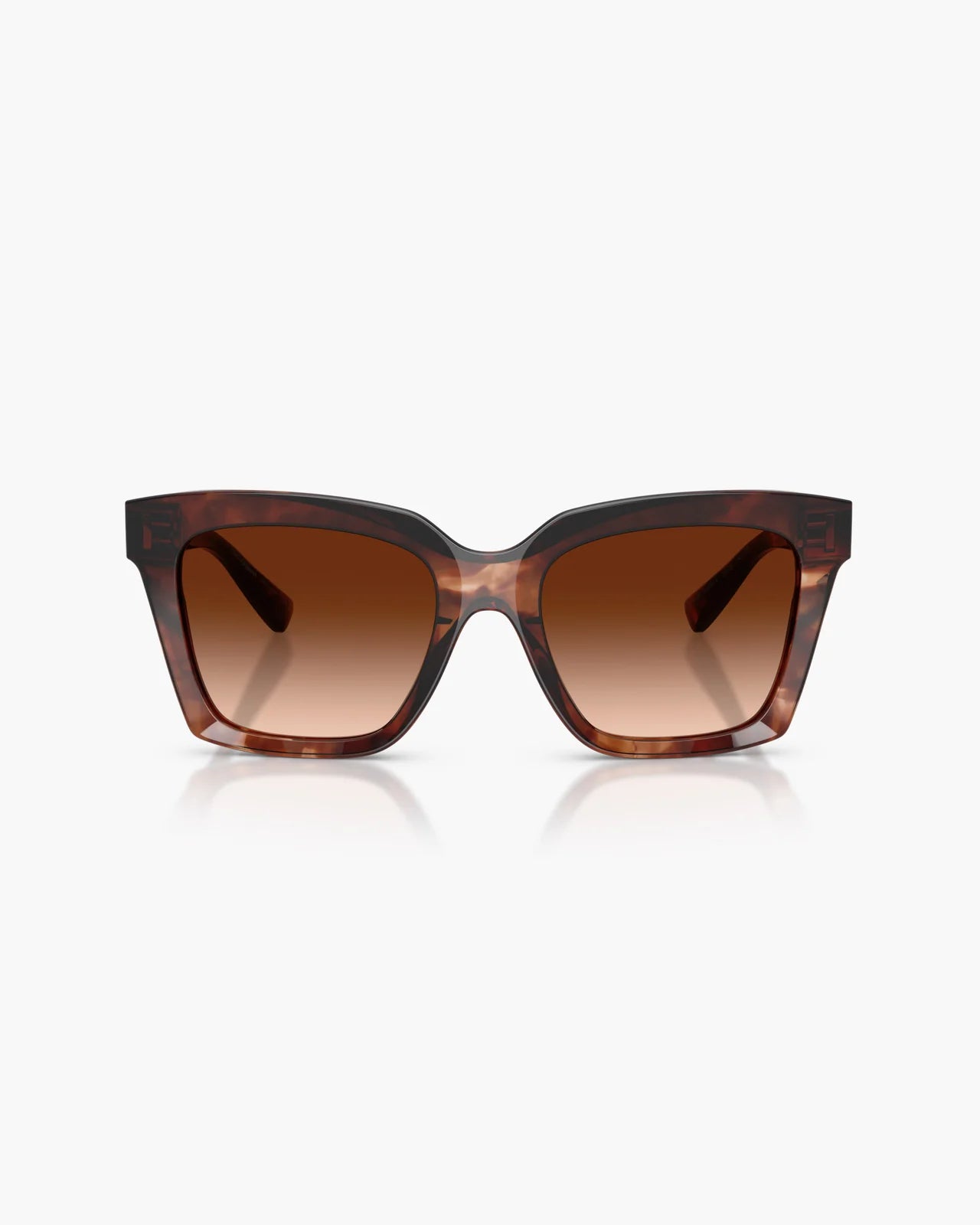 DOLCE&GABBANA HAVANA DARK RED