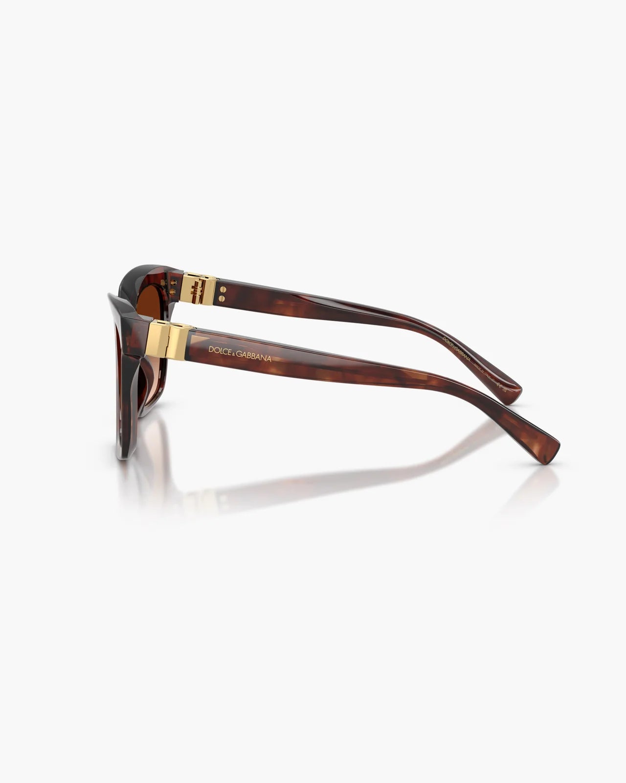 DOLCE&GABBANA HAVANA DARK RED