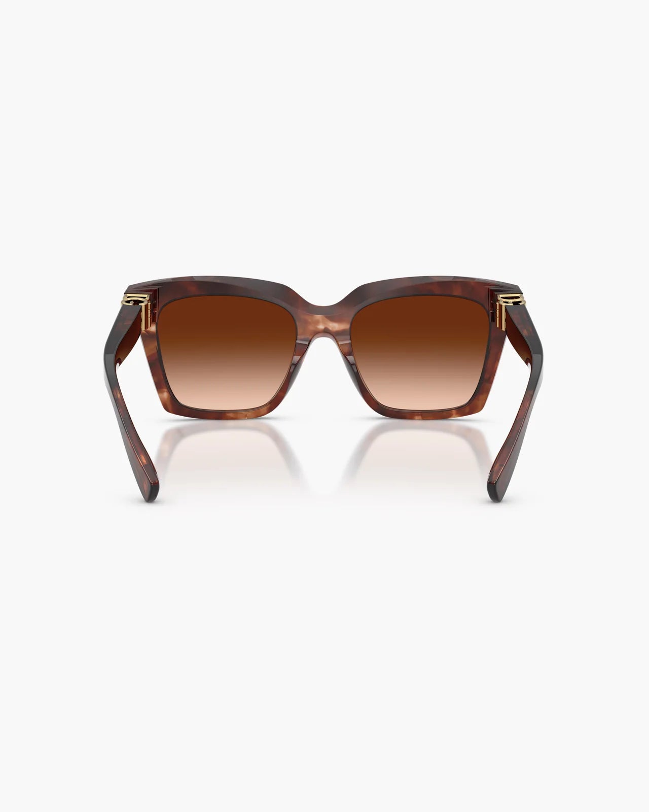 DOLCE&GABBANA HAVANA DARK RED