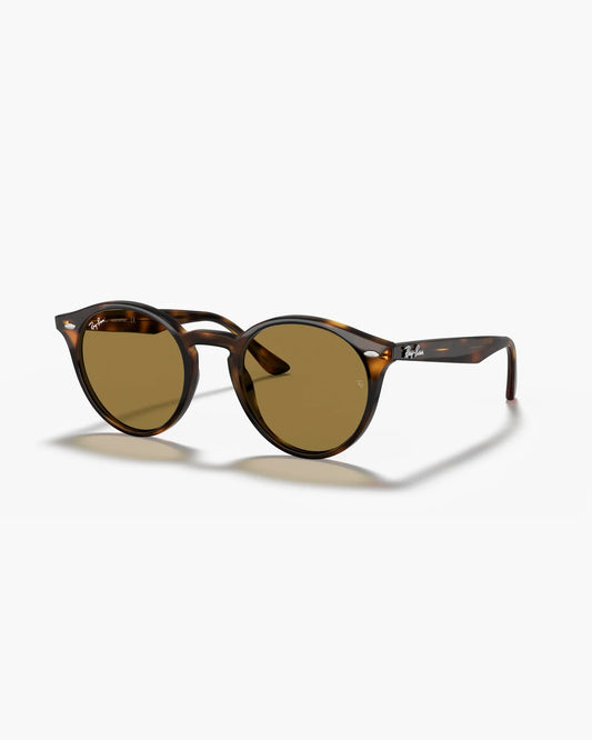 Ray-Ban BROWN