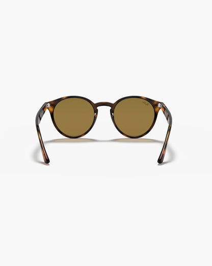 Ray-Ban BROWN
