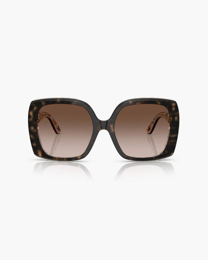 DOLCE&GABBANA HAVANA WHITE/BARROW