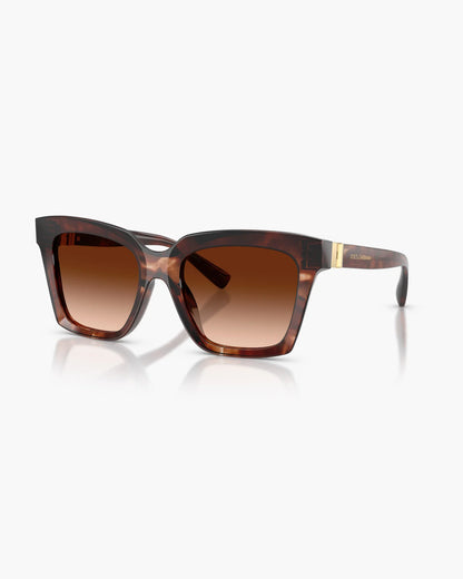 DOLCE&GABBANA HAVANA DARK RED