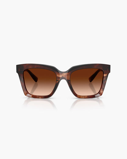 DOLCE&GABBANA HAVANA DARK RED