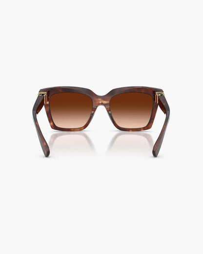DOLCE&GABBANA HAVANA DARK RED