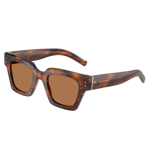 DOLCE&GABBANA HAVANA