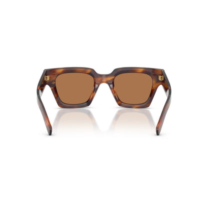 DOLCE&GABBANA HAVANA