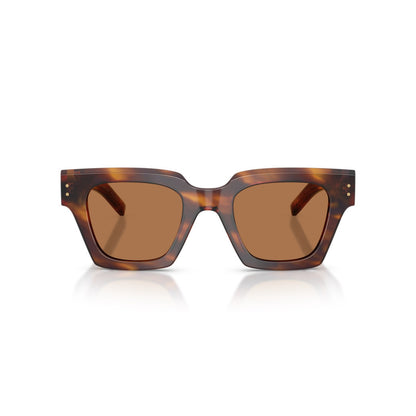DOLCE&GABBANA HAVANA