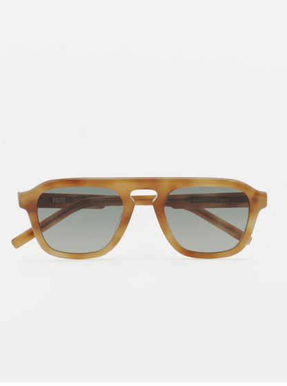 KALEOS CROWNE BROWN