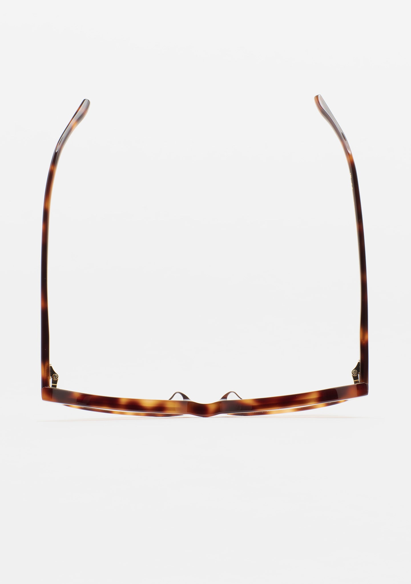 KALEOS SUMERSPRING HAVANA