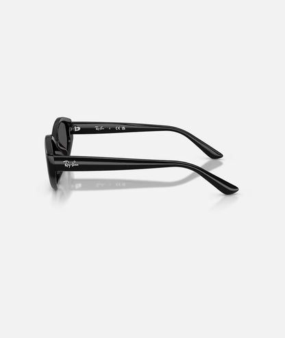 Ray-Ban Irregolare Nero